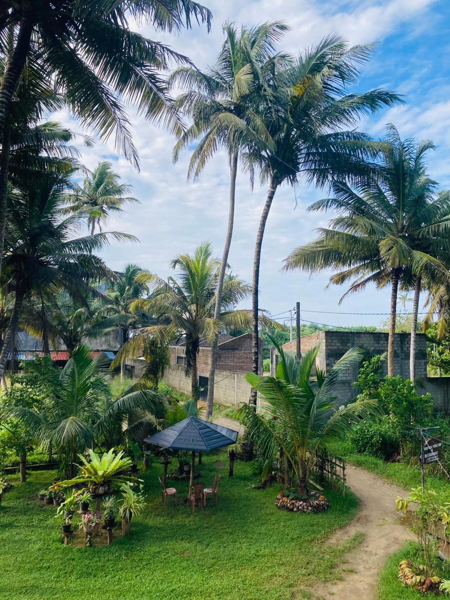 Tropical Point Inn Matara Eksteriør billede